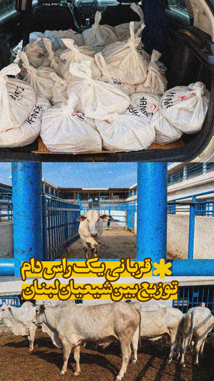 گزارش | قربانی یک راس دام در لبنان